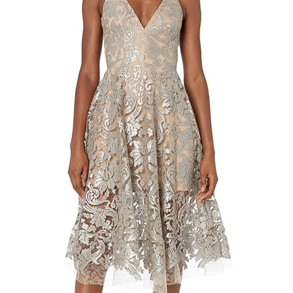 Dress the Population Fit and Flare Dress